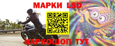 apvp Краснодар