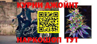 apvp Краснодар